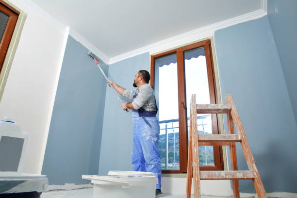 Best Water-Damaged Drywall Repair  in Shepherdstown, WV